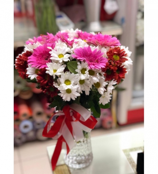 Vazoda Papatyalı Gerbera